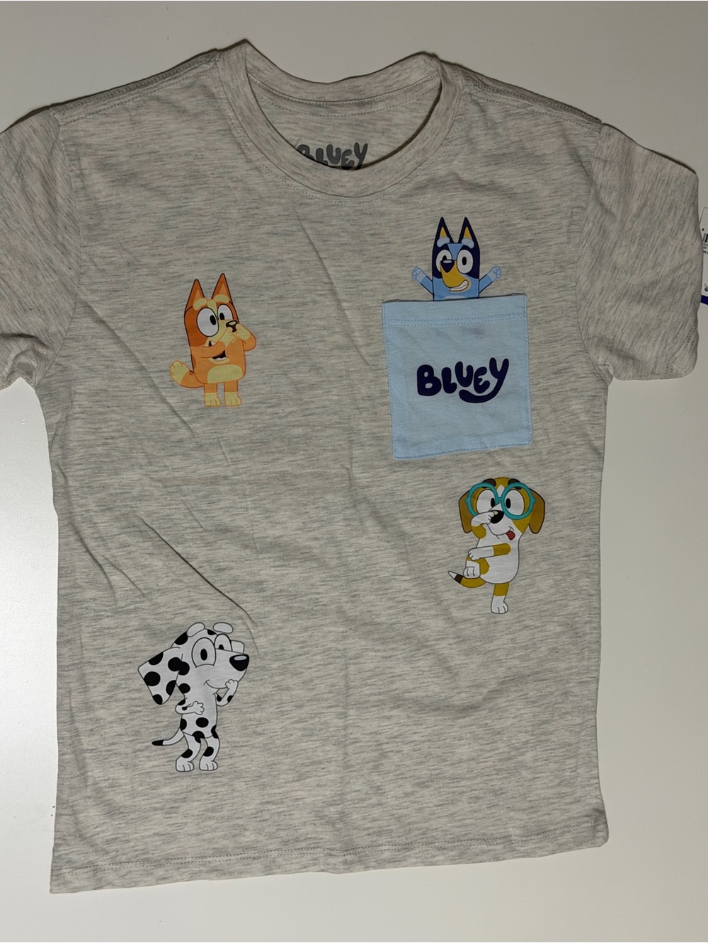 Bluey and Friends T-Shirt